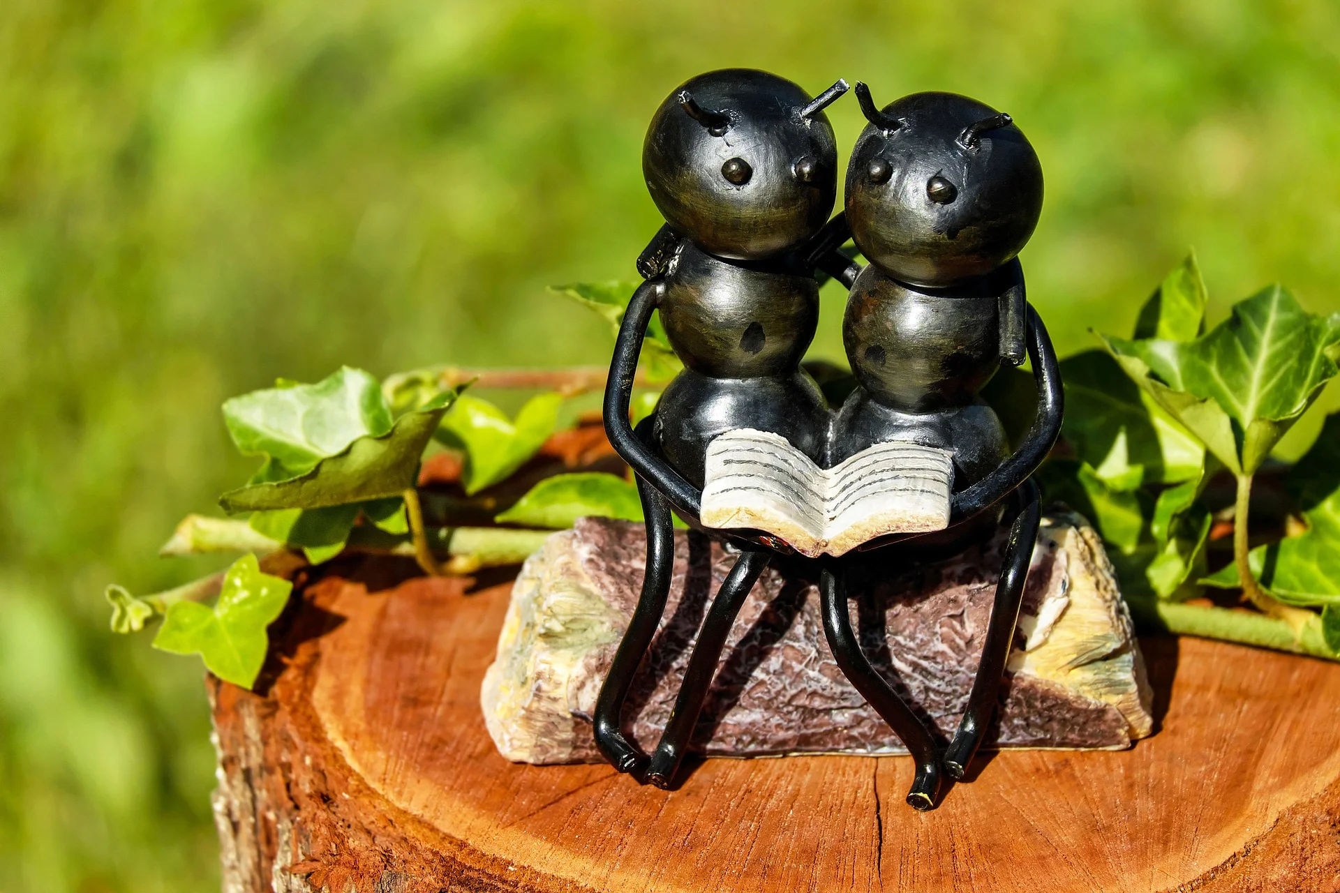ants-1730011_1920.jpg
