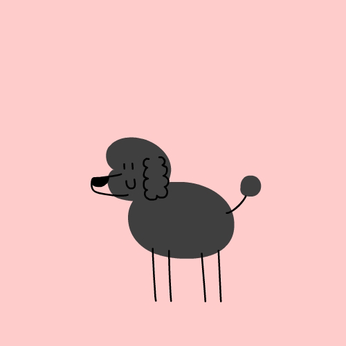 giphy (27).gif