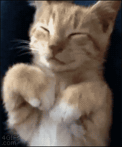Oh No Facepalm GIF-downsized_large.gif