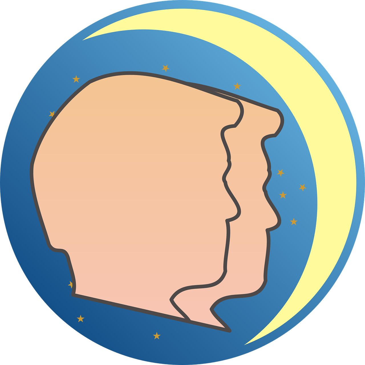 gemini-2298596_1280.png