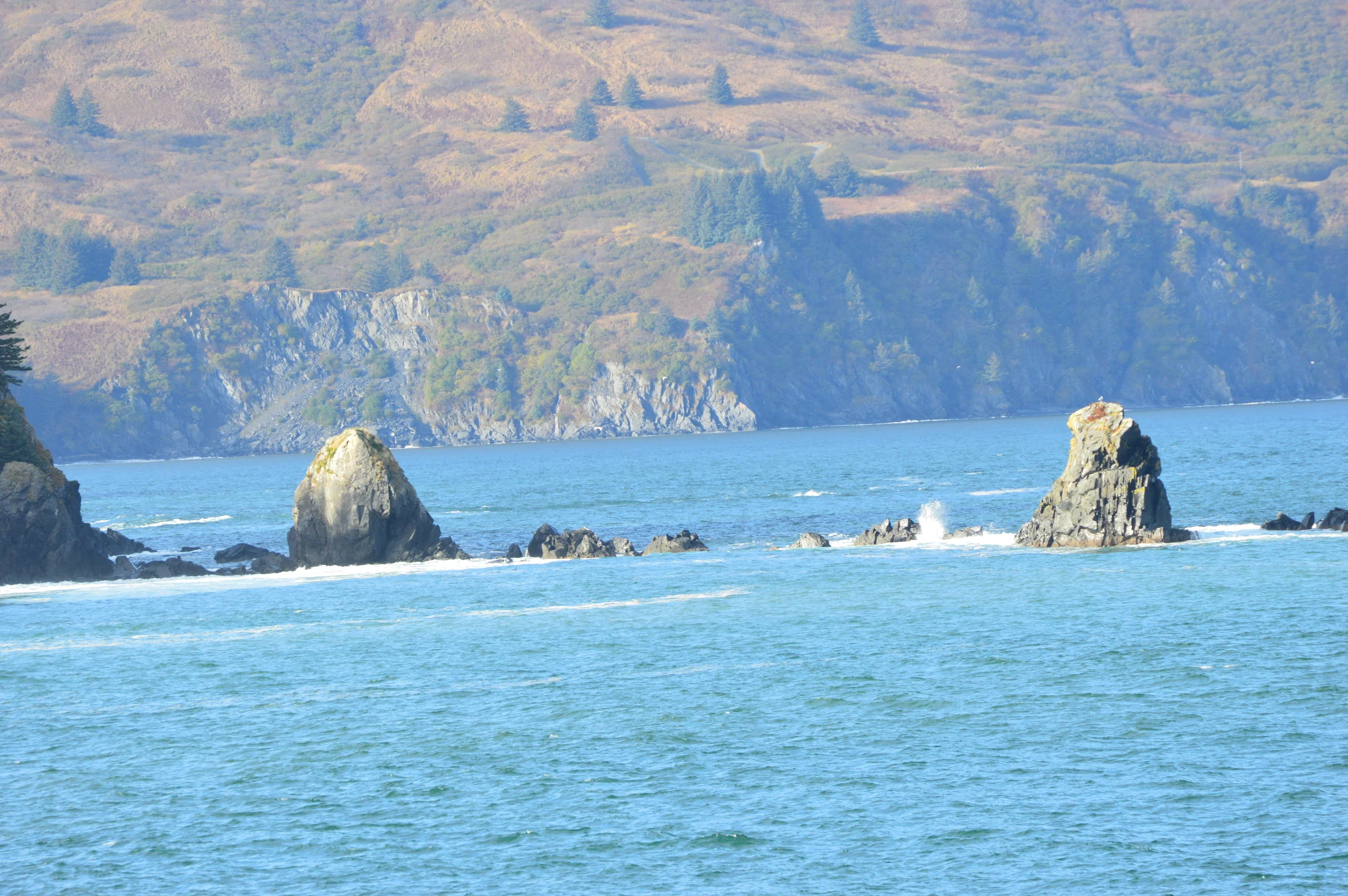 DSC_0078.JPG