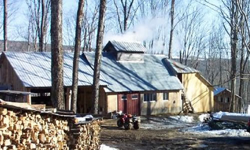 Beaver Meadow Vermont Maple Syrup PO Box 364; 2296 Guy Lot Road Craftsbury VT 05826 Phone: (802) 586-2537 Email: klapoint@ surfglobal.net