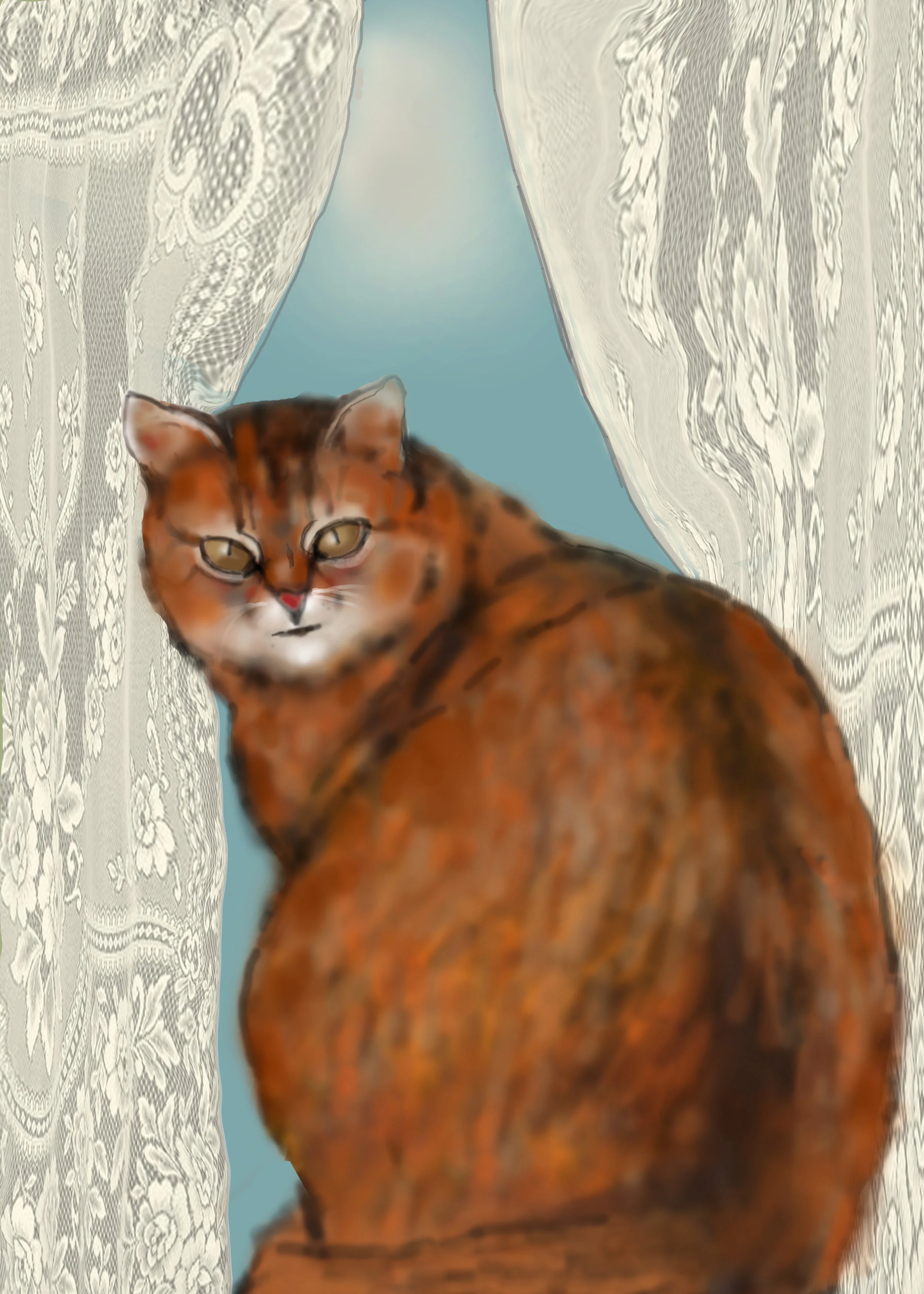 catFrenchwindowswlacecurtains7773best.jpg
