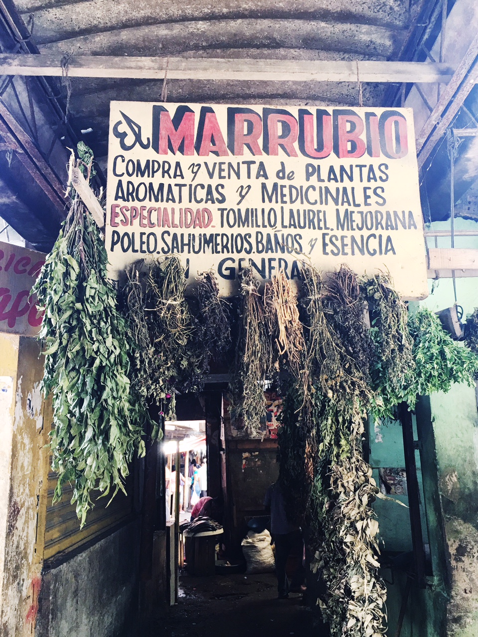 At the central market, dried healing botanicals.