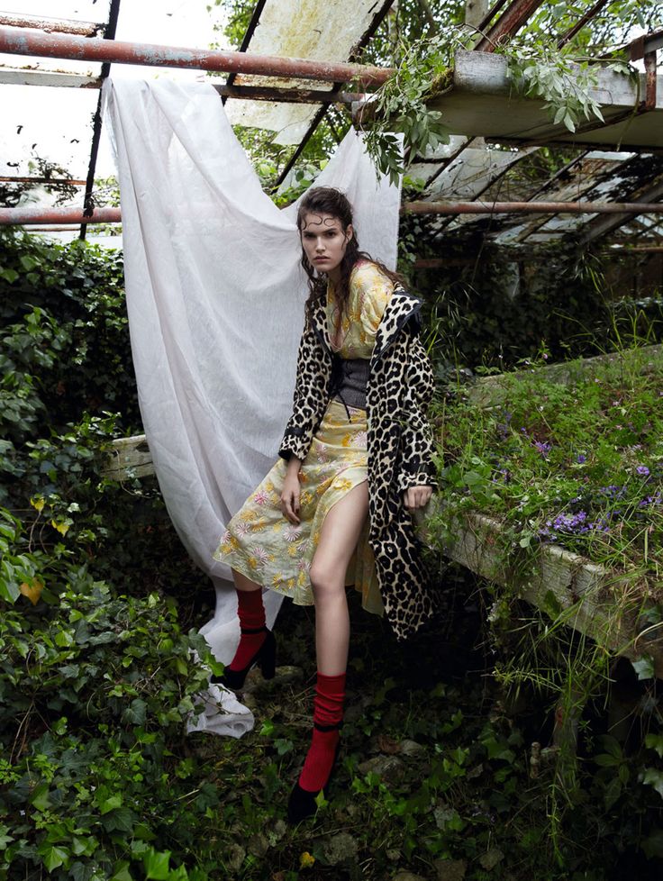 0451c04f73f4b7d7827abe6f06e892b6--leopard-print-jacket-leopard-prints.jpg