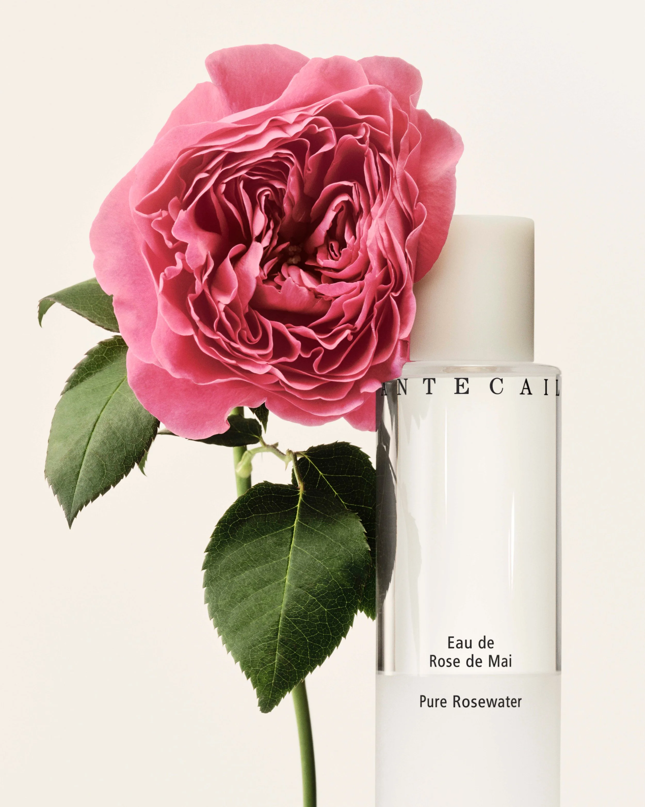 PR563_2024_PRODUCT_PUREROSEWATER.jpg