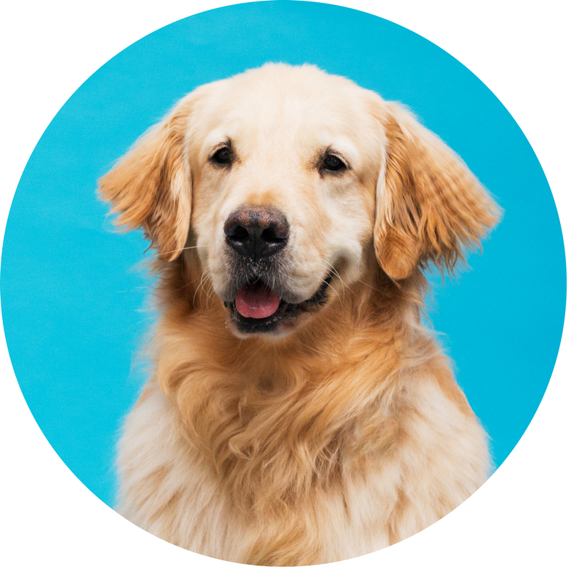 WEBSITE HEADSHOTS.png