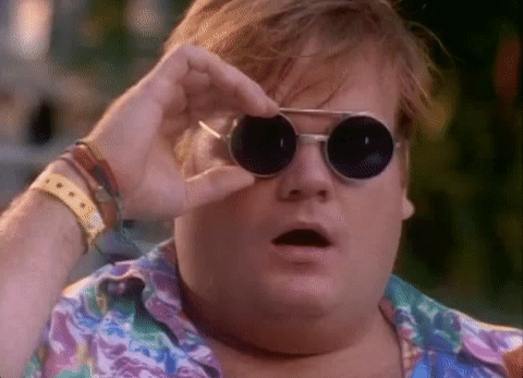 giphy (11).gif