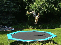 200w_d-7.gif