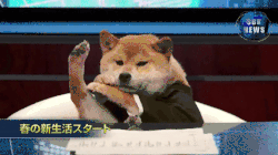 flex.gif