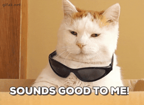 giphy (3).gif