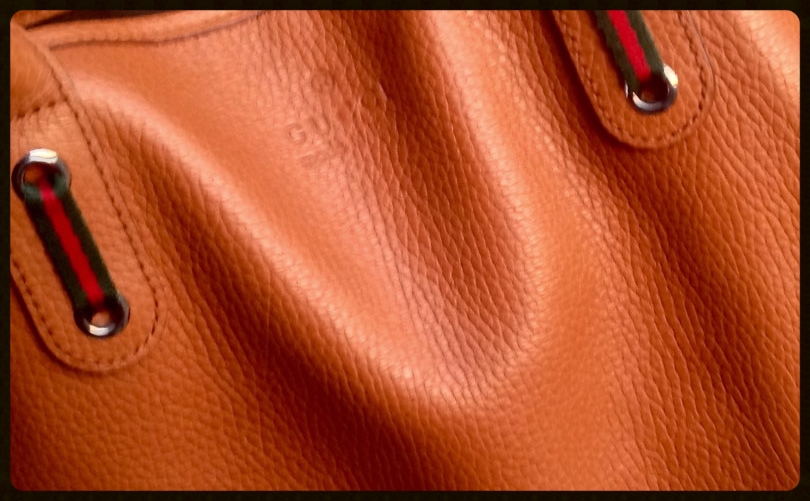 The perfect tan Gucci bag, image©gunjanvirk