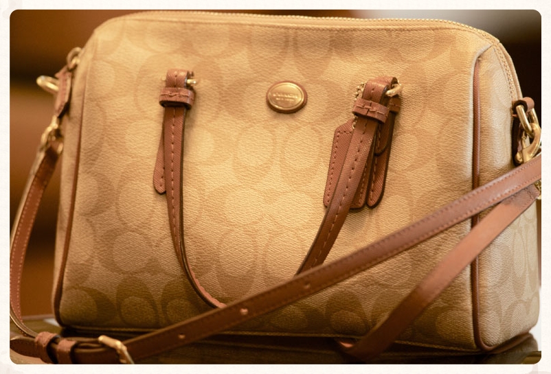 My Coach bag, image©gunjanvirk