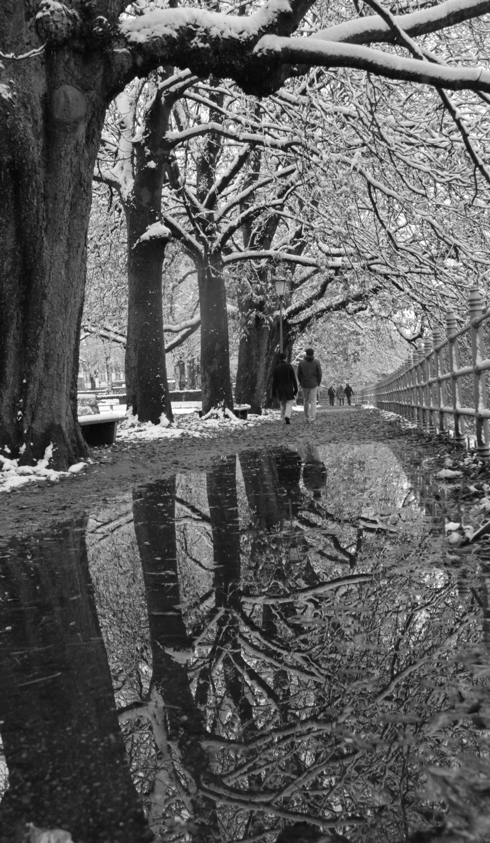 The trees along the Isar river covered with snow, Munich, Germany. Image©Maximilian Von Stetten