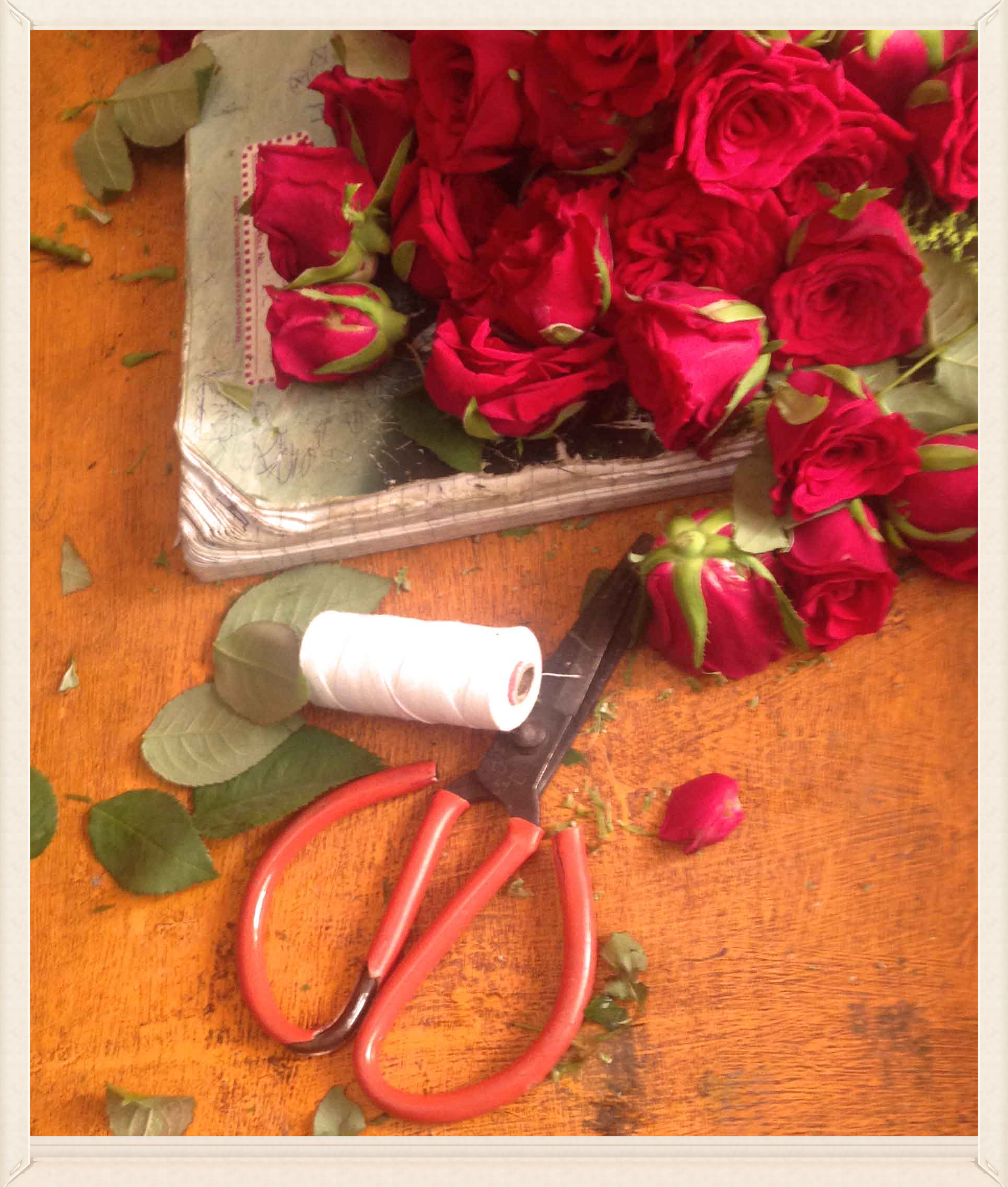 Roses, scissors and stems, image©gunjanvirk.