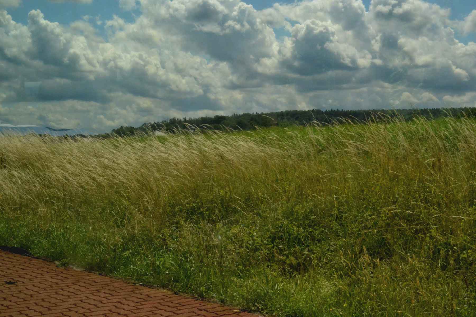 Enchanting fields and clouds, Germany by train. Image©gunjanvirk