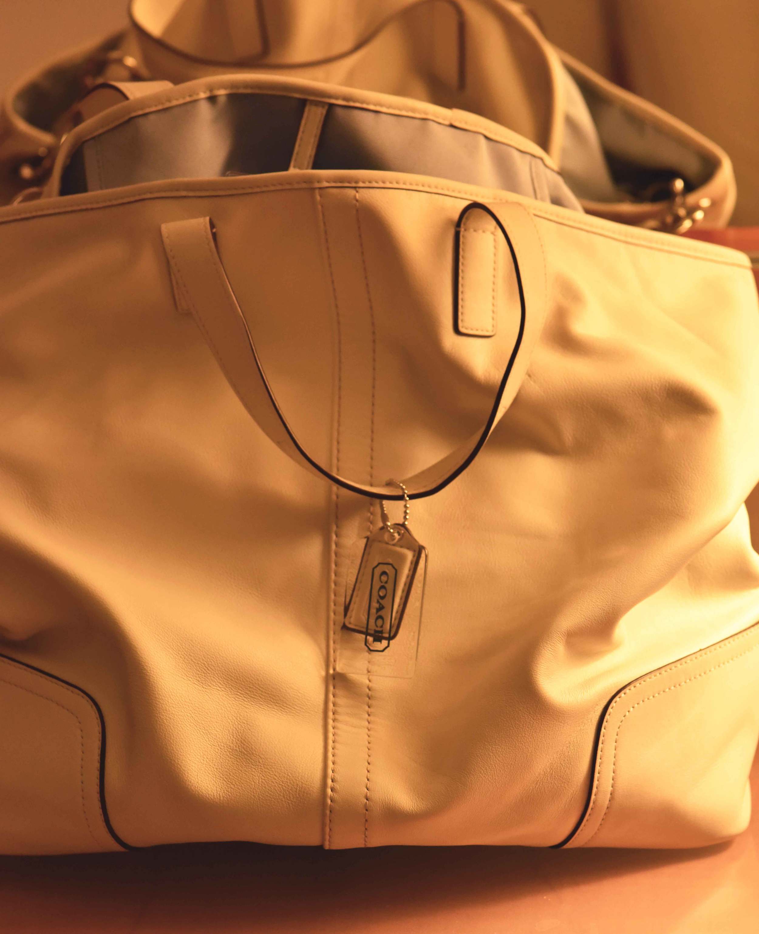 This Coach bag is awesome! Image©gunjanvirk