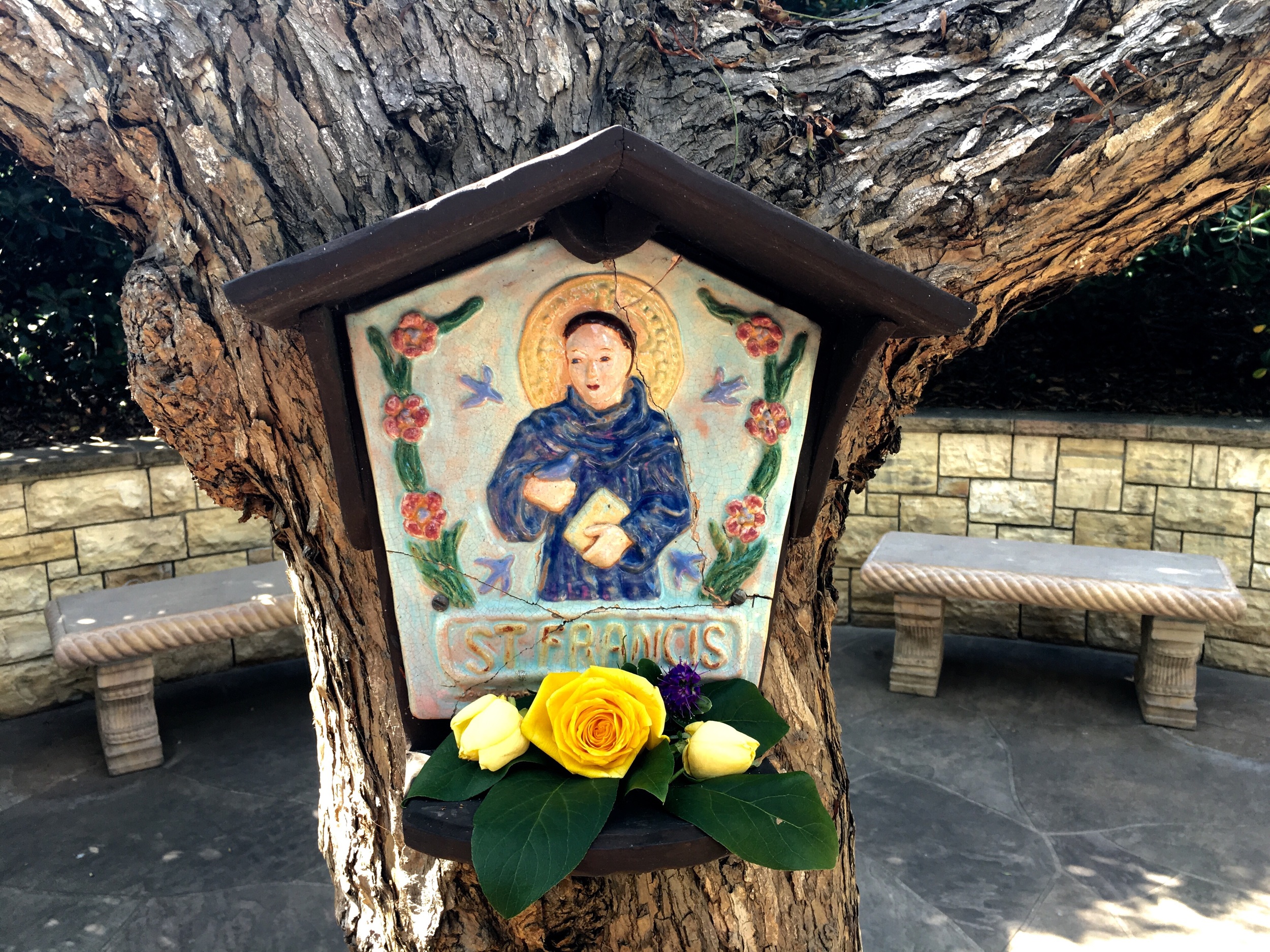 Meditating with Saint Francis can be a lot of fun! Image©gunjanvirk, camera iPhone 6s Plus
