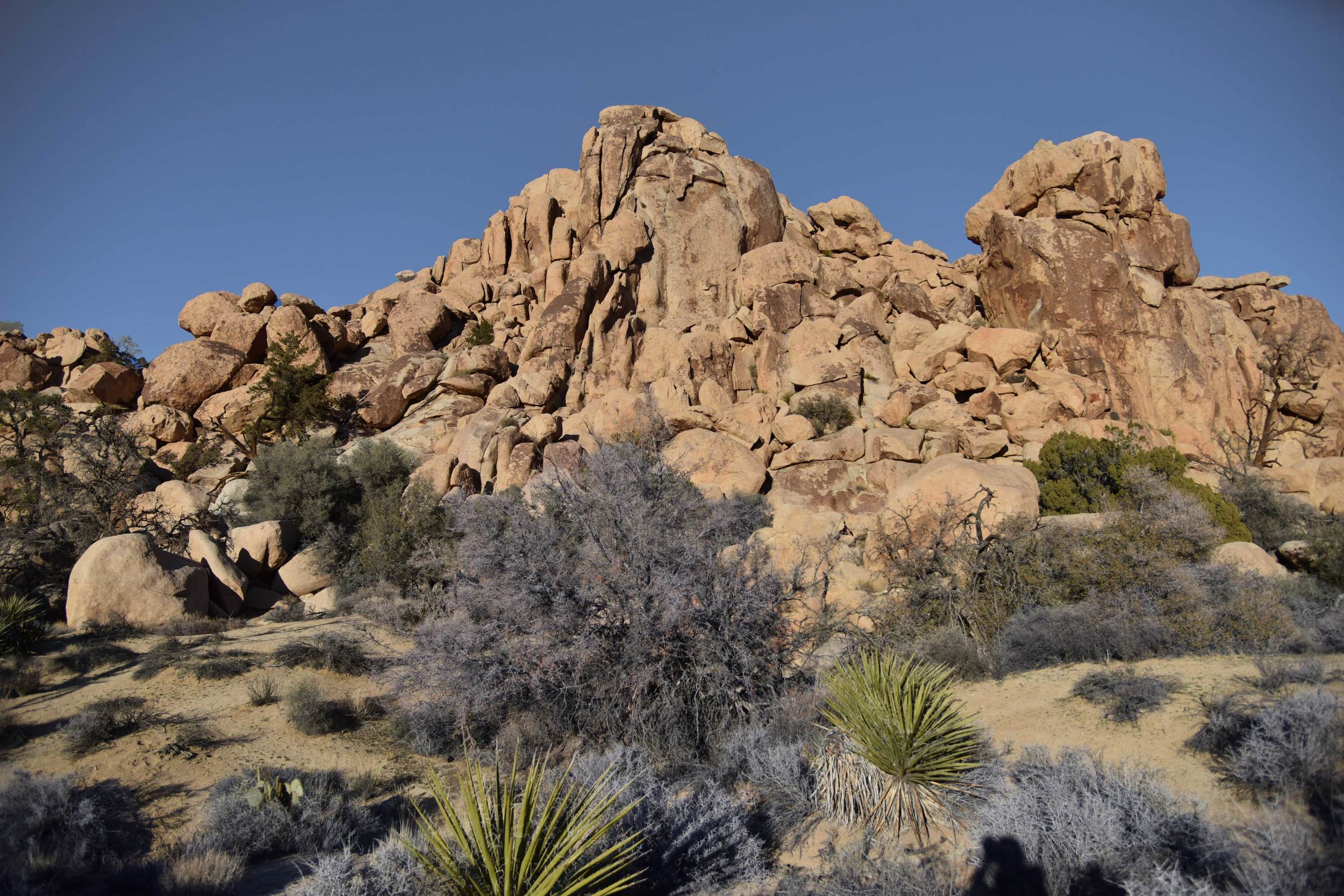 Joshua Tree National Park, image©sourcingstyle.com