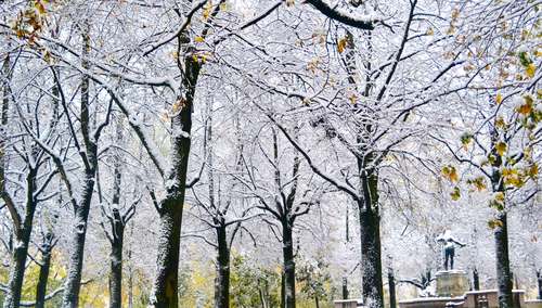 The trees along the Isar river covered with snow, Munich, Germany. Image©gunjanvirk