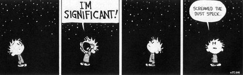 Calvin looking at the stars! Image from redpaper.in.