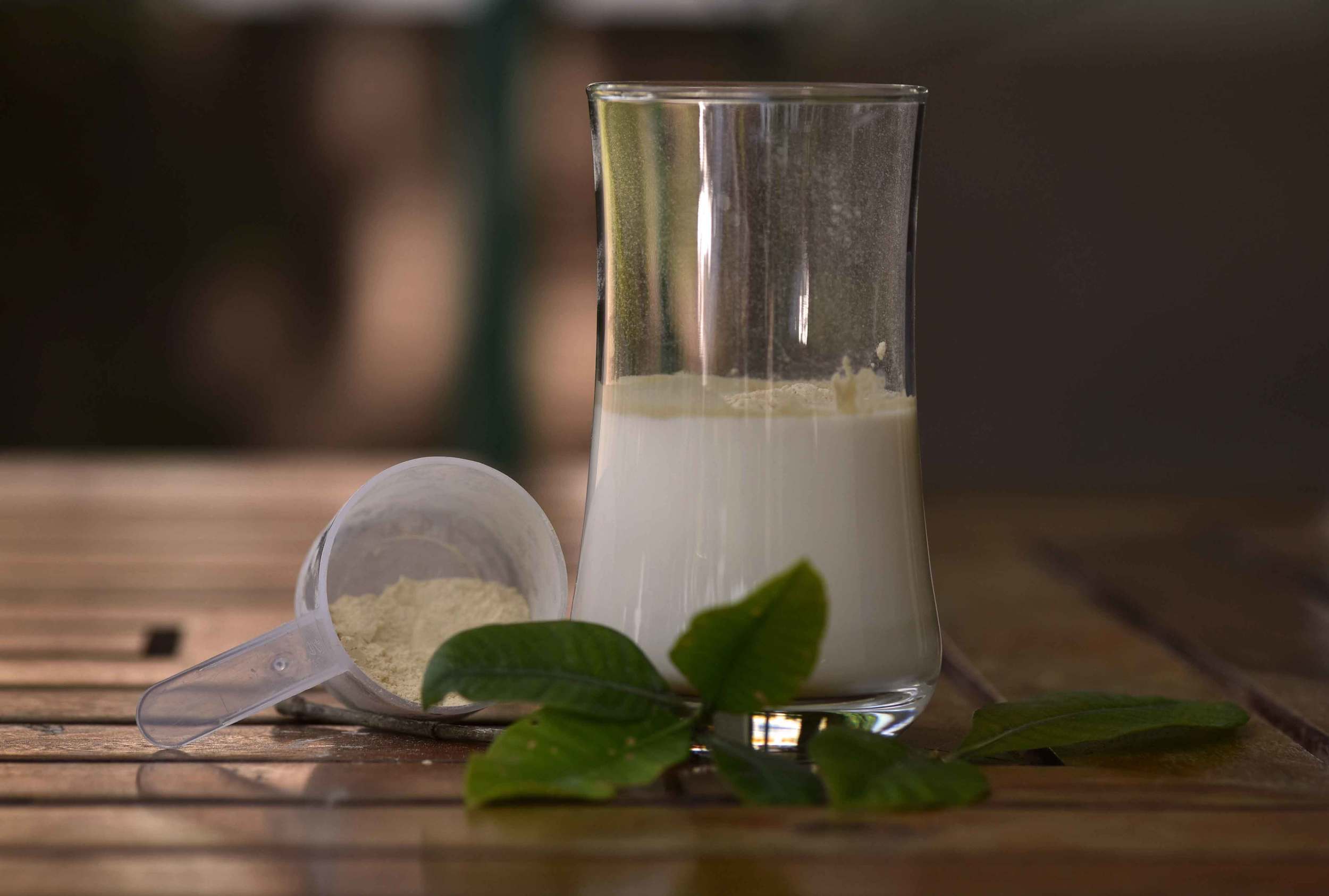 Sunwarrior Warrior Blend Protein Powder tastes great with milk. Image©gunjanvirk