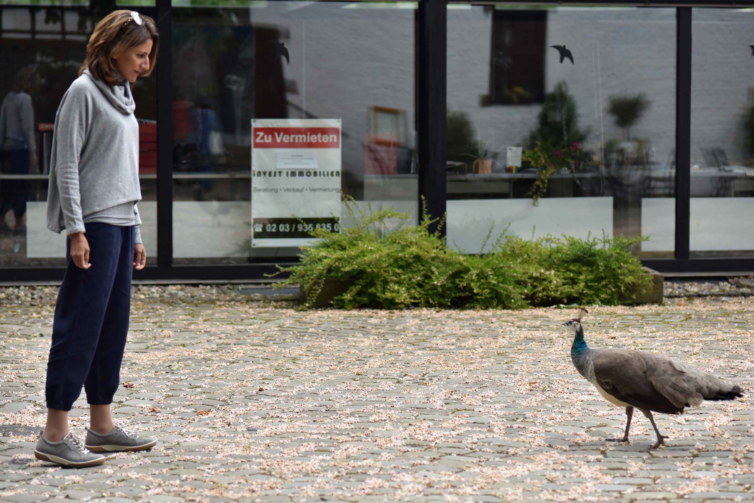 My friend peacock! Eileen Fisher Cropped Tapered Lightweight Tencel Twill Pants in Midnight, Eileen Fisher Funnel Neck Drapey Tencel Terry Cropped Top in Moon. Image©sourcingstyle.com, Photo: Nicola Nolting