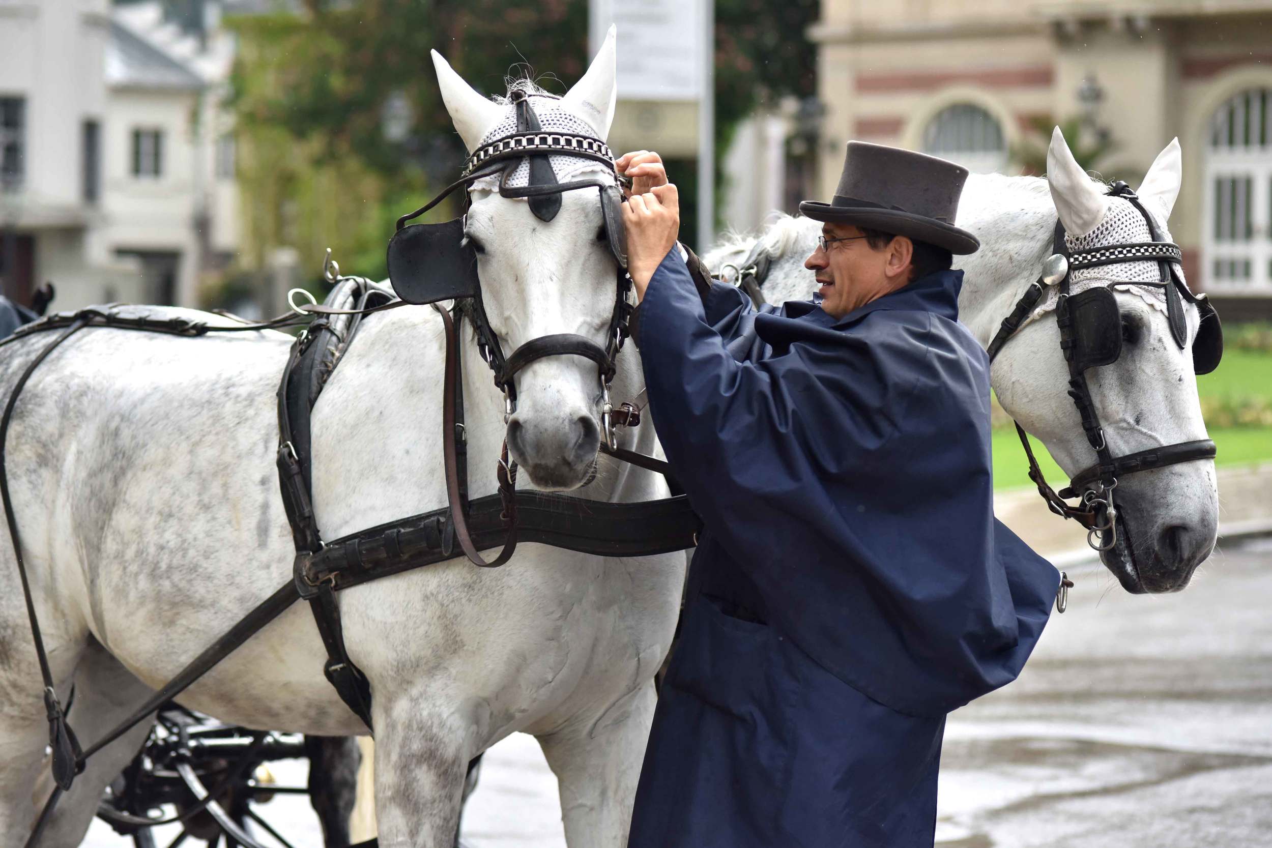 Coach driver preparing horses to drive his carriage, Baden Baden, Germany. Image©sourcingstyle.com