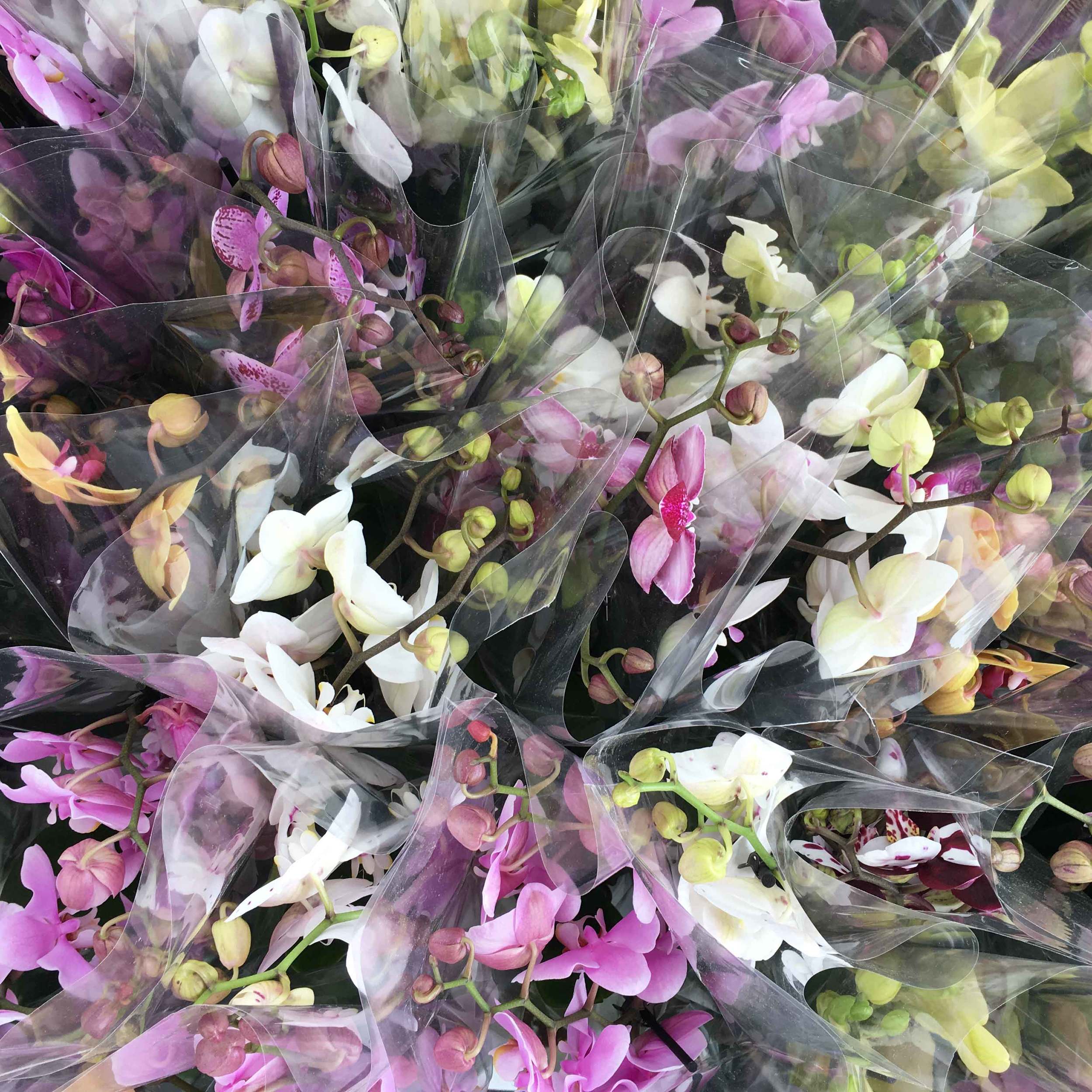 Flowers for sale, My friend Nicola, the photographer! Designer Outlet Roermond, Netherlands. Photo: Gunjan Virk, image©sourcingstyle.com
