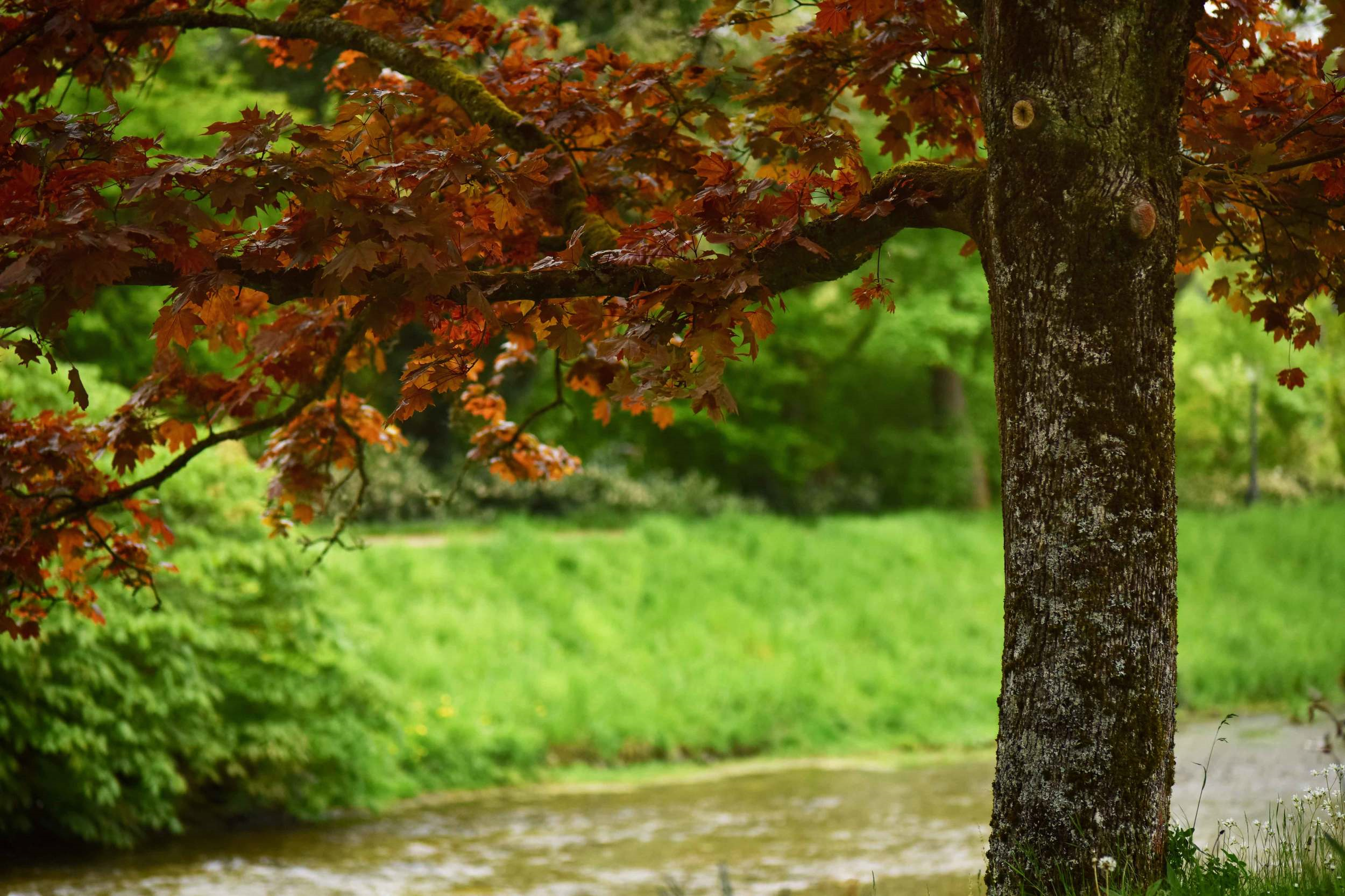 The Oos river, Gönneranlage, historic park, Baden Baden, Germany. Image©sourcingstyle.com