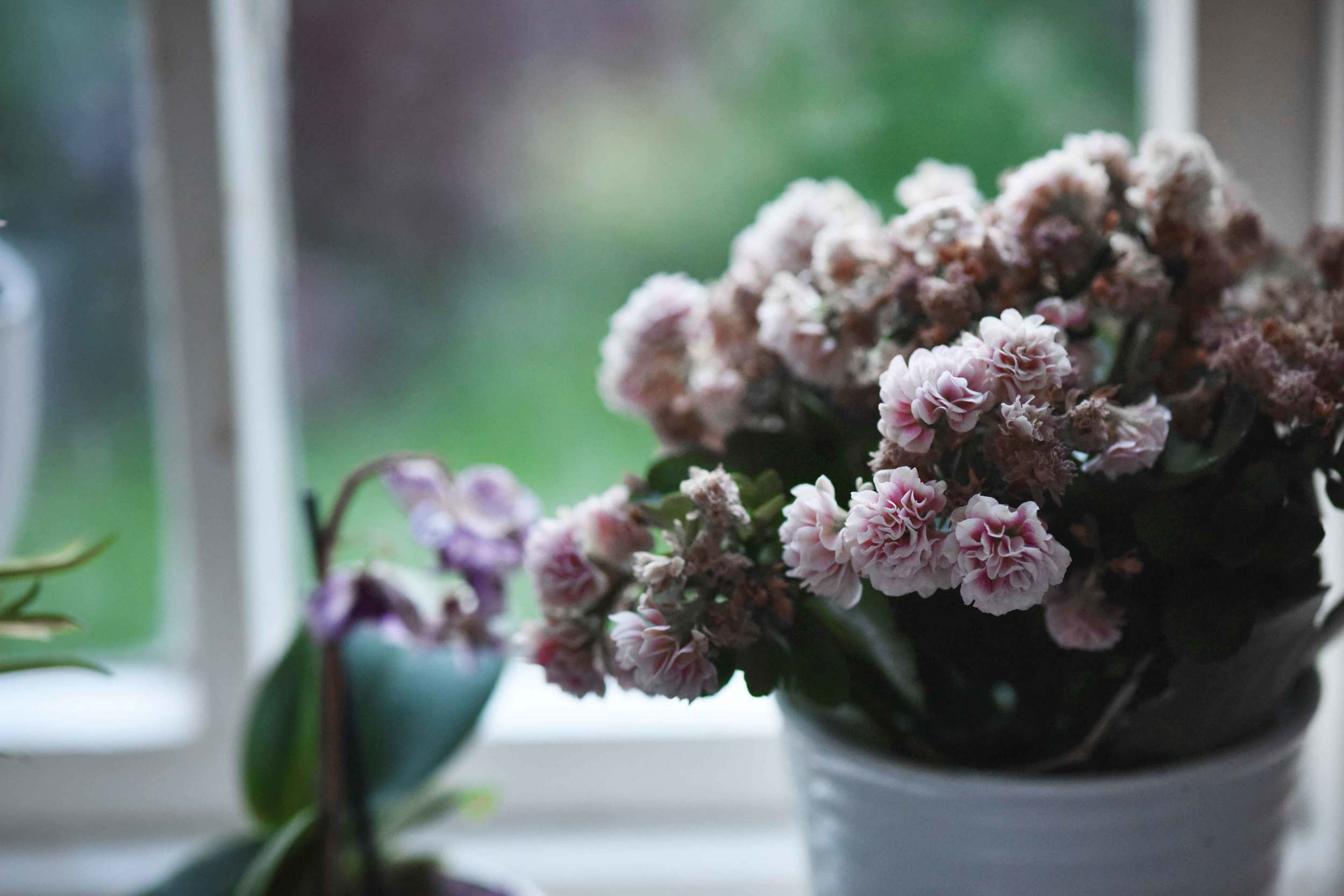 Artificial flowers on the kitchen shelf, image©sourcingstyle.com
