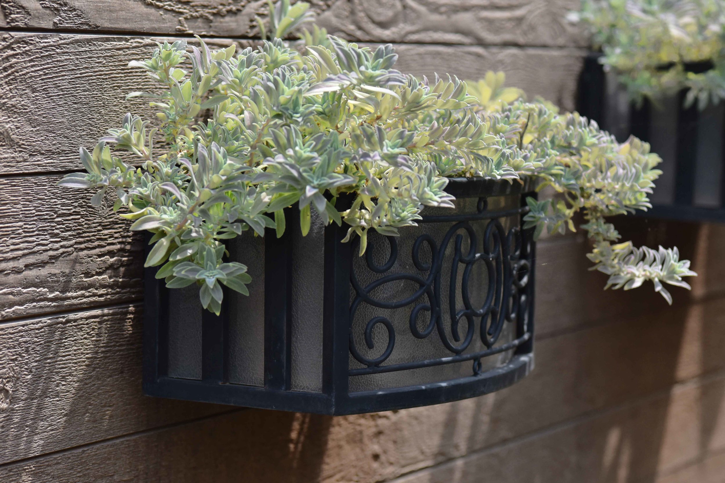 Landscape design by Geeta Singh, wall planter. Image©sourcingstyle.com