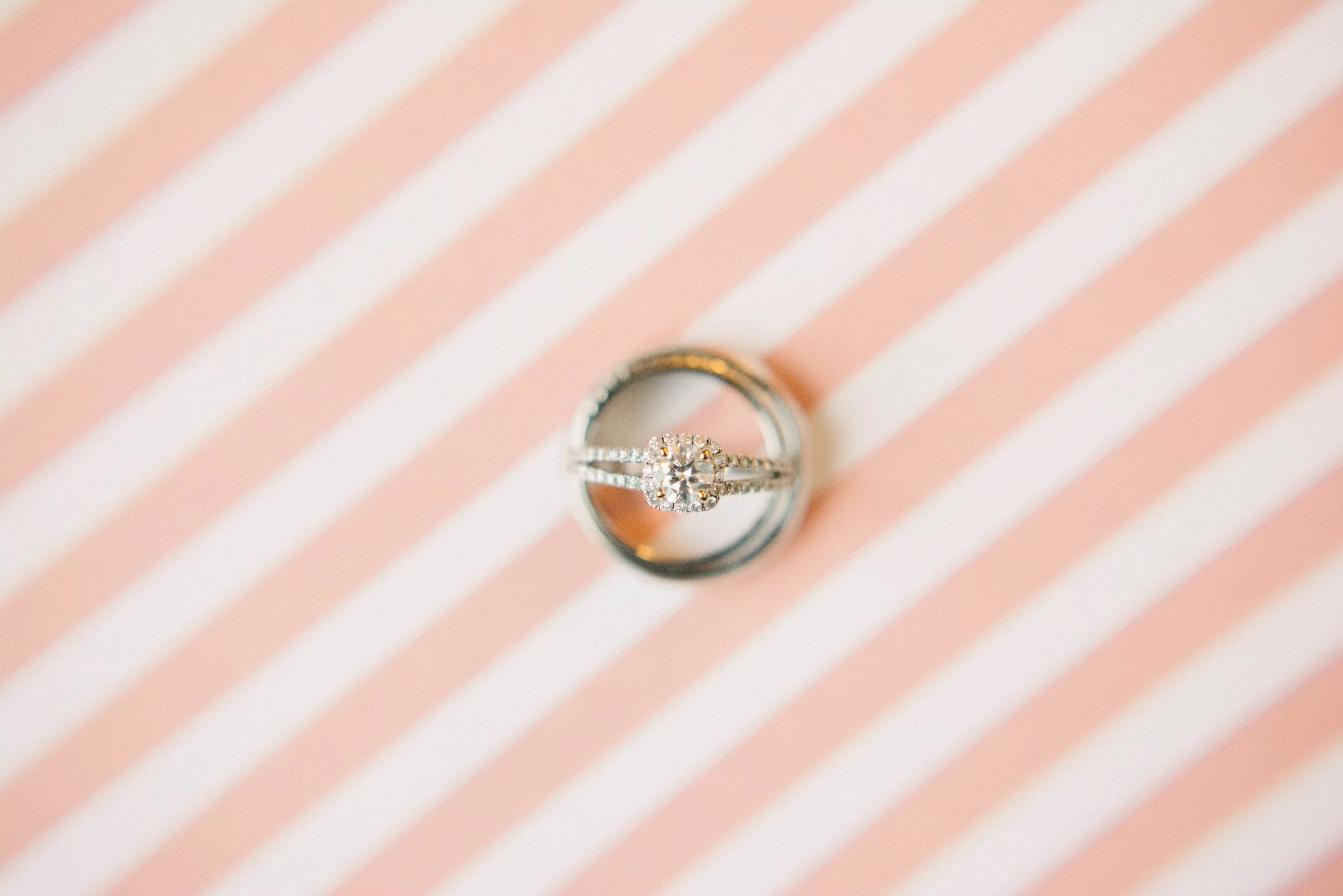 PREVIEW // Reston Wedding & Alexandria Family Portraits