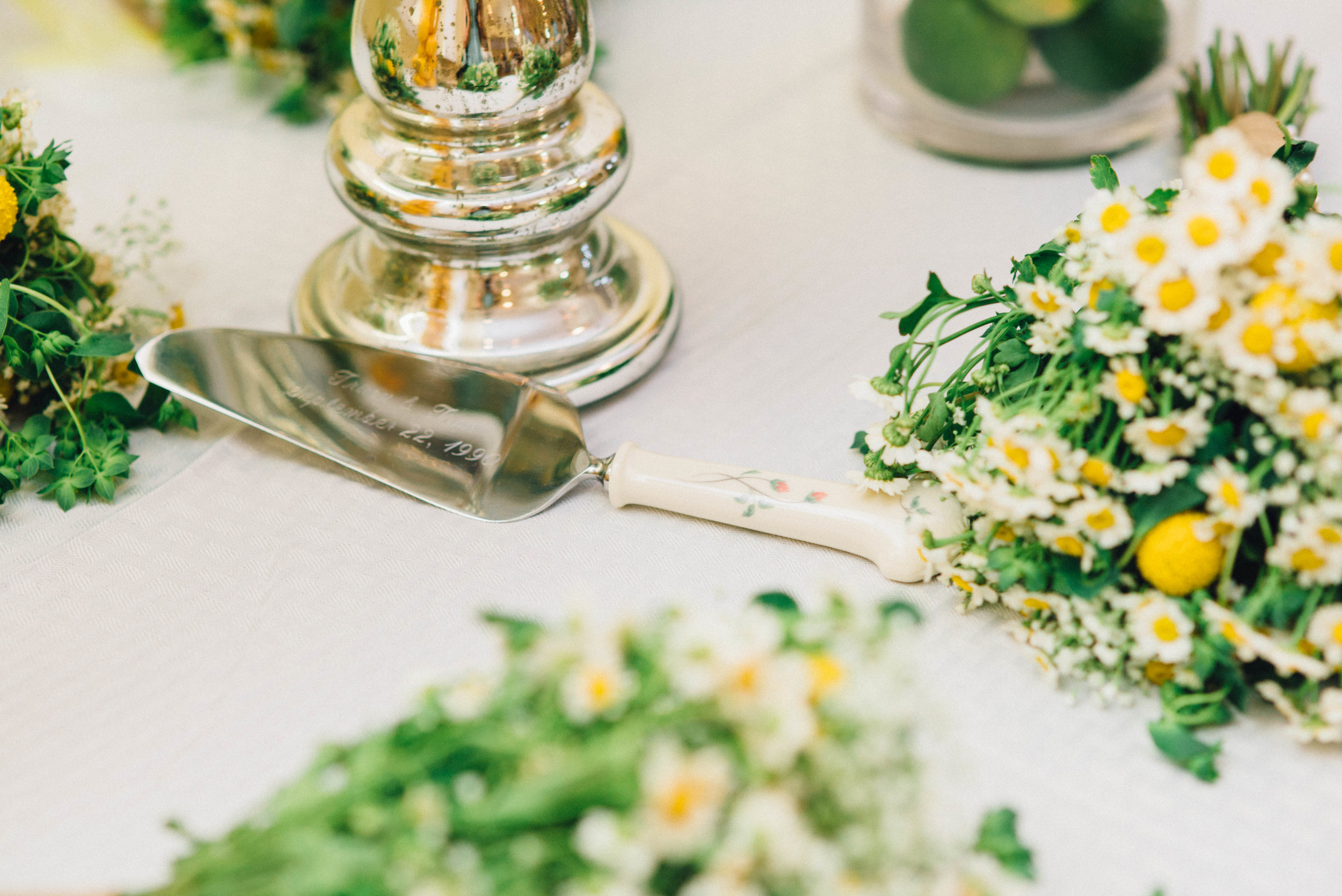 DIXONWEDDING-523.jpg