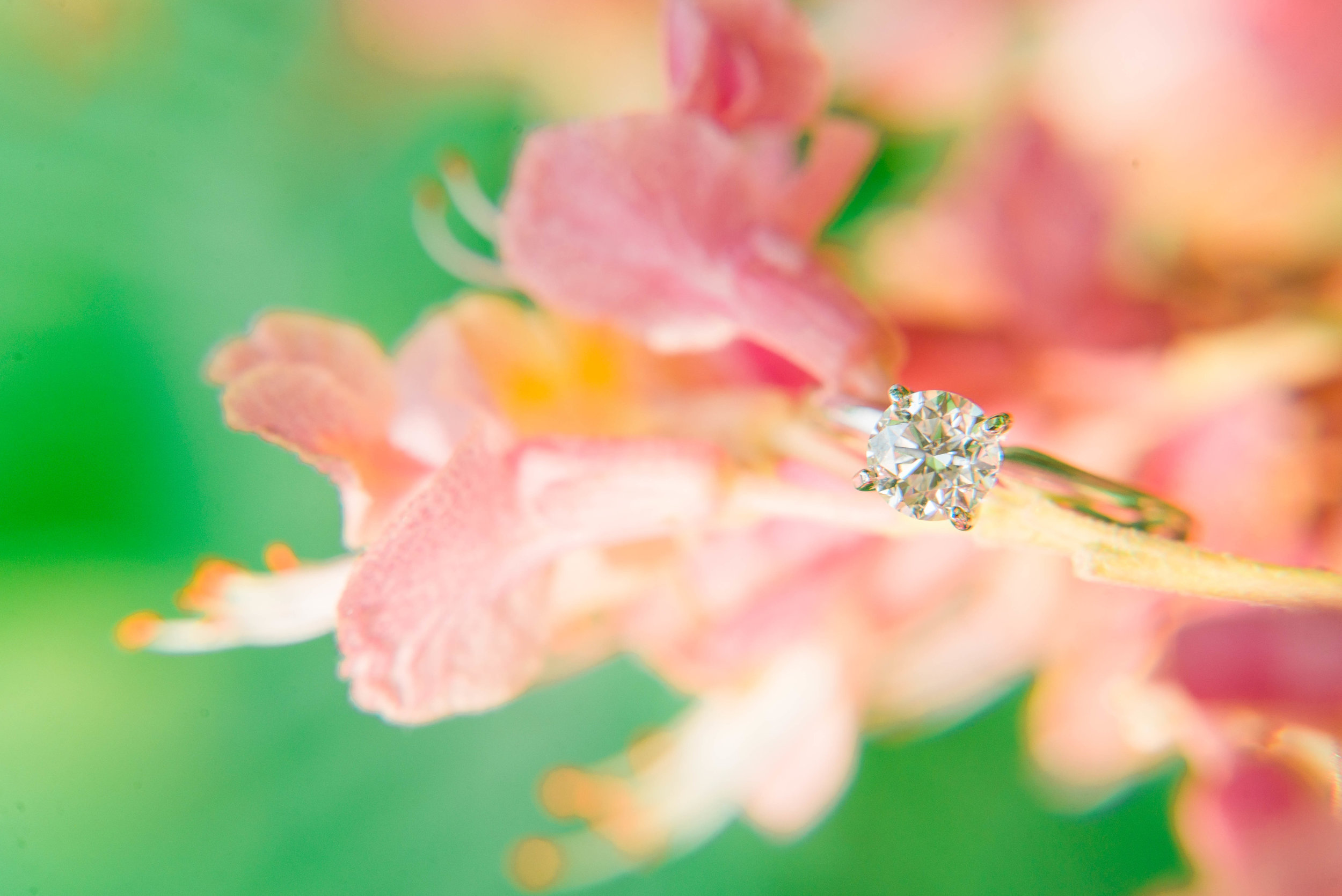 ENGAGEDapriljoseph-76.jpg