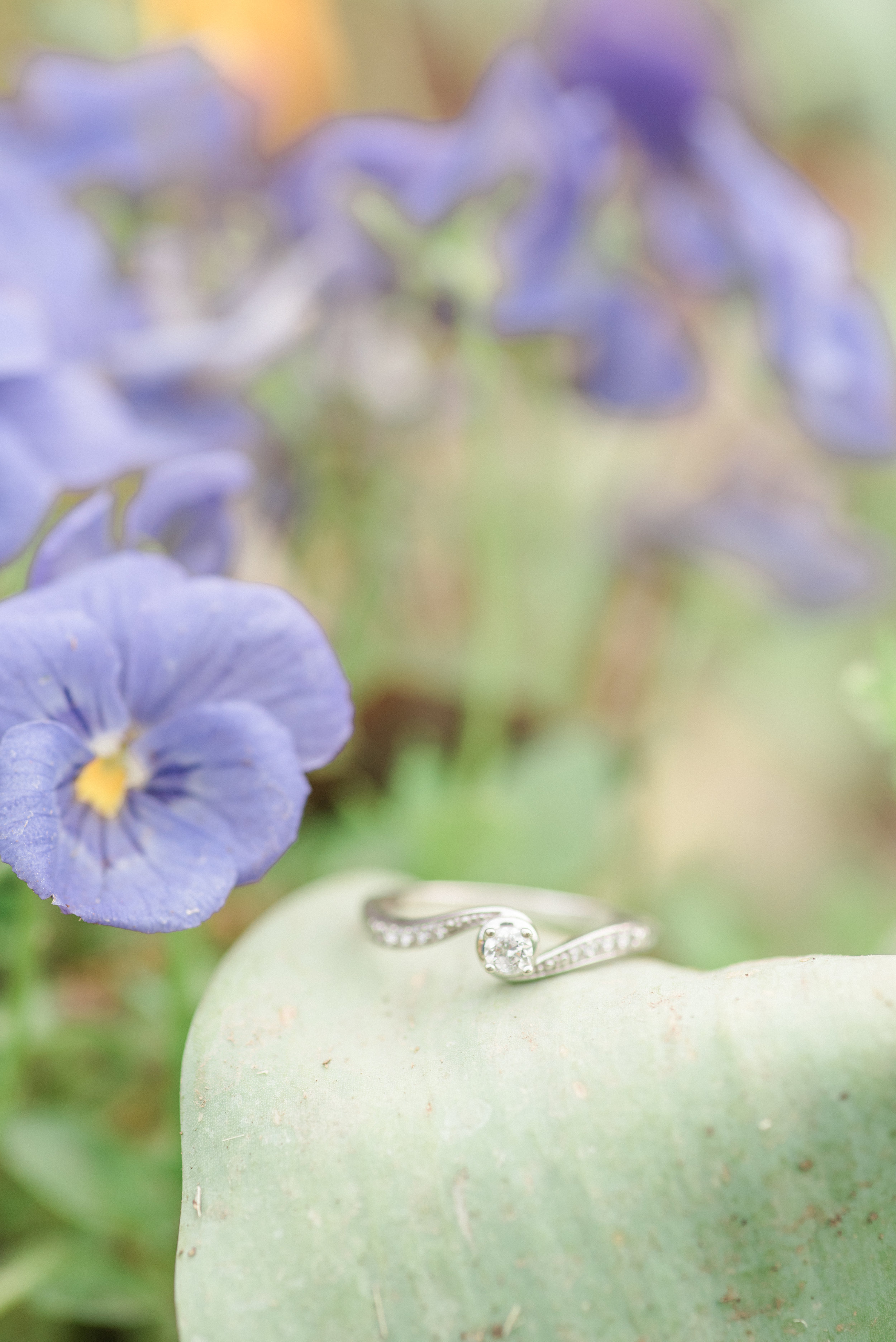 dc-engagement-portraits-dc-photographer-garden