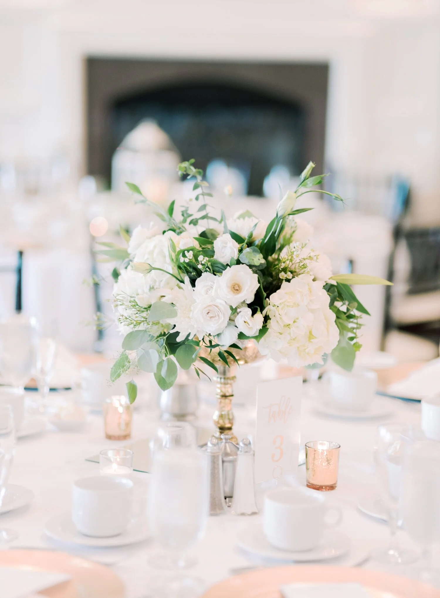 River Creek Club, Leesburg VA Wedding