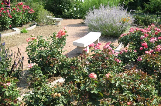 bonair_park_arlington_county_flowers_2.jpg