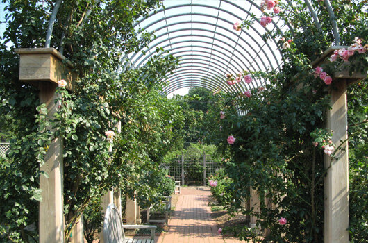 bonair_park_arlington_county_flowers_gazebo.jpg