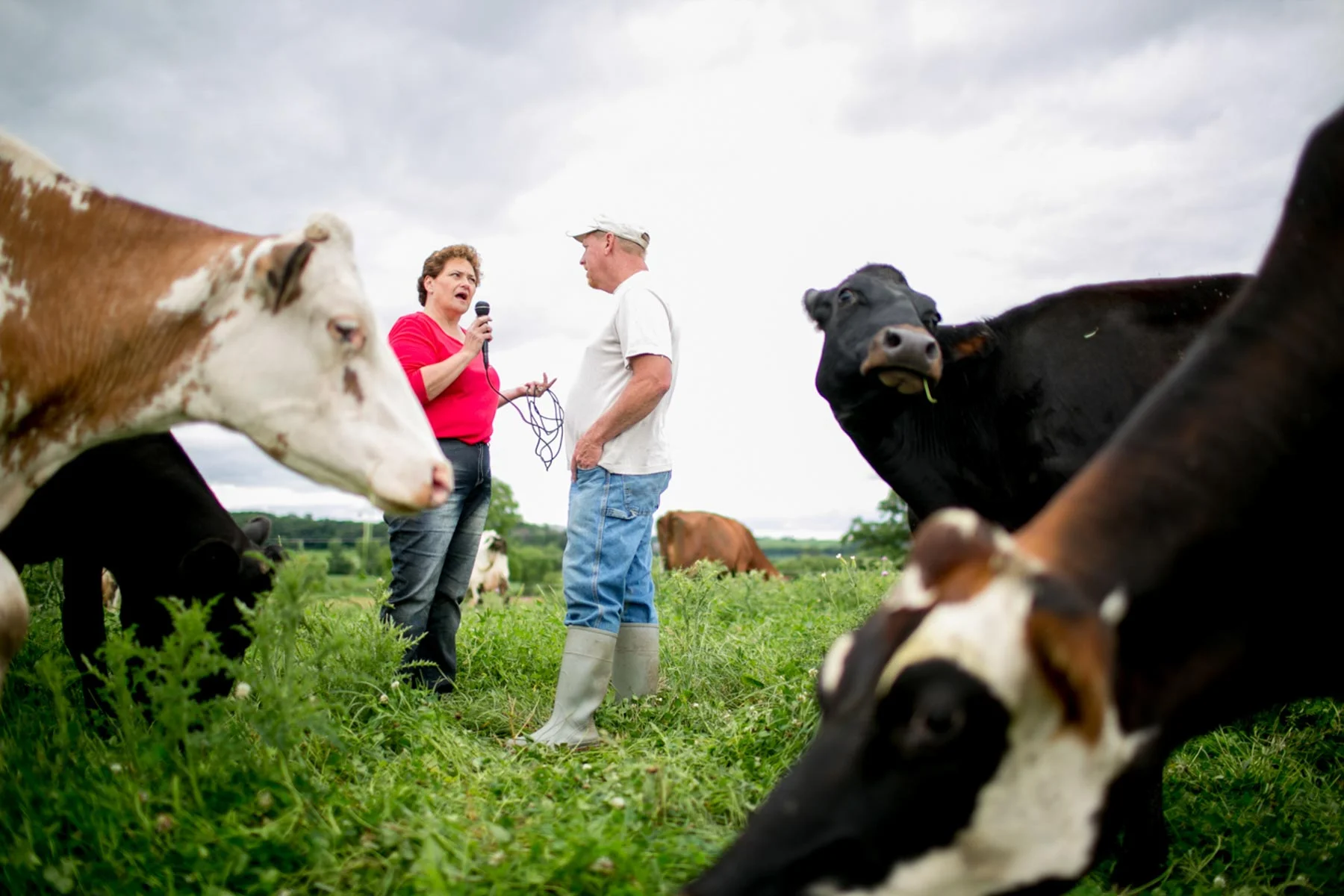 Pam the Farm Babe || a farm near Madison WI