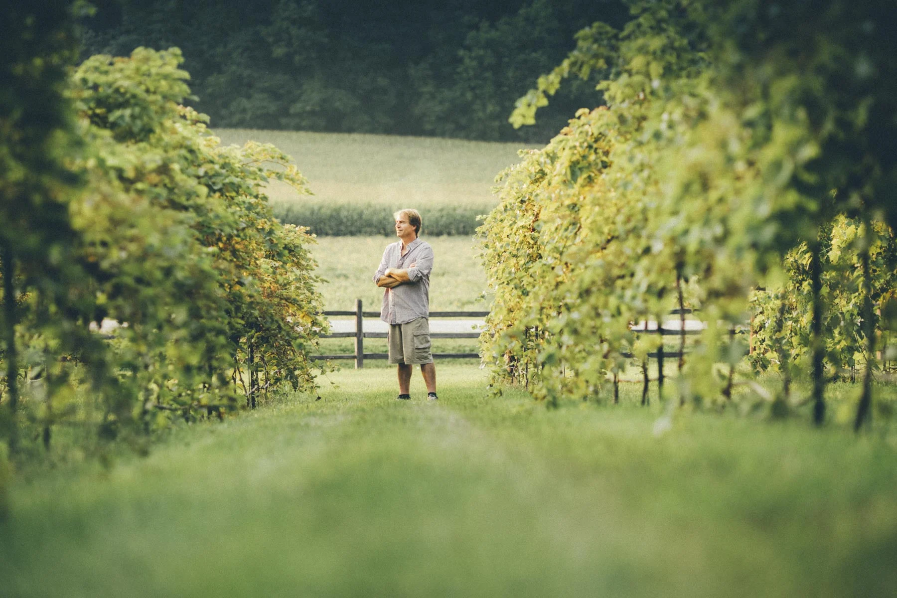 David Korb || Drumlin Ridge Winery || near Madison WI