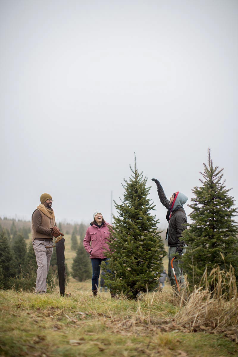 Josh, Cass, & Raffa || Hans Christmas Tree Farm || Oregon, WI 