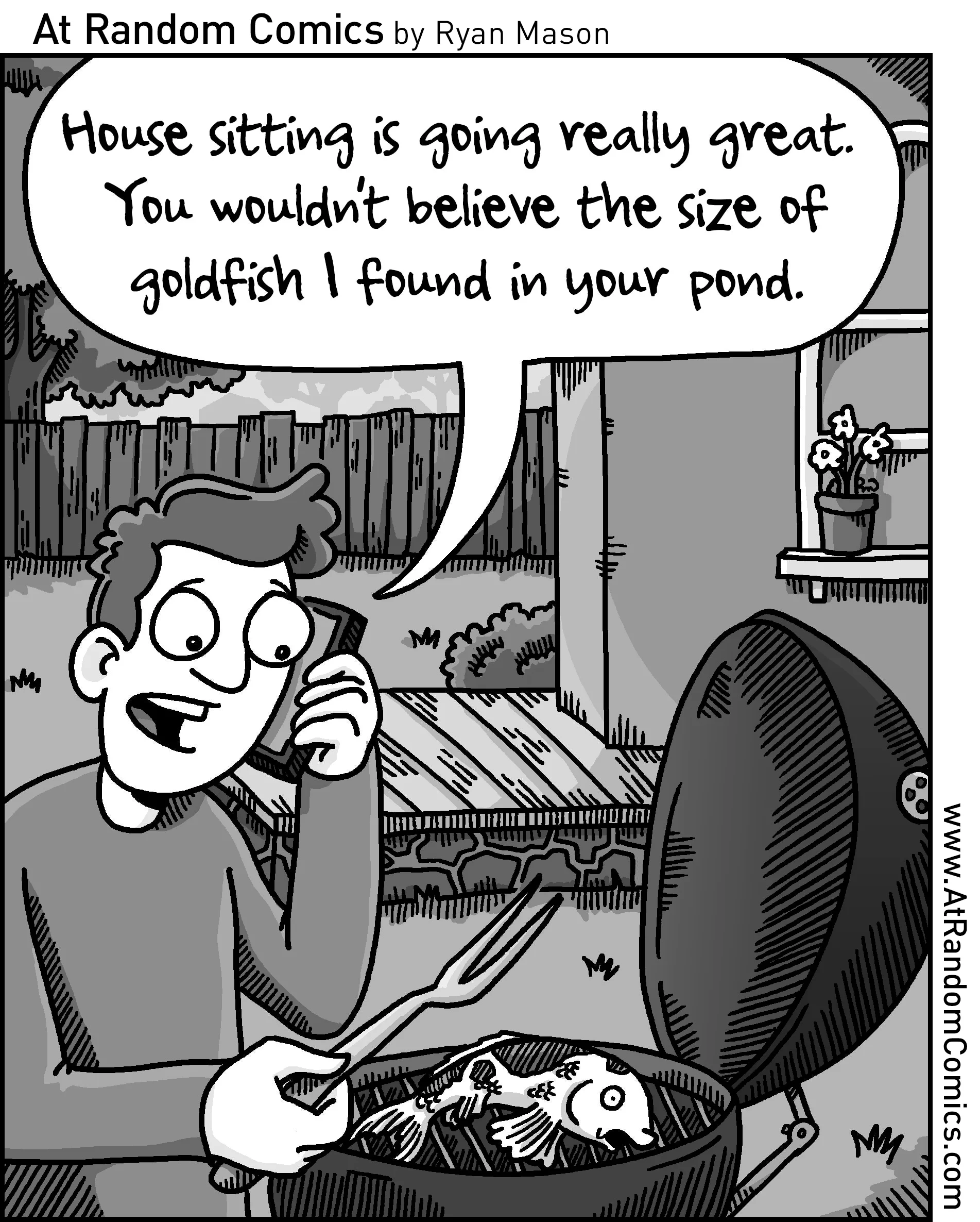 House Sitter