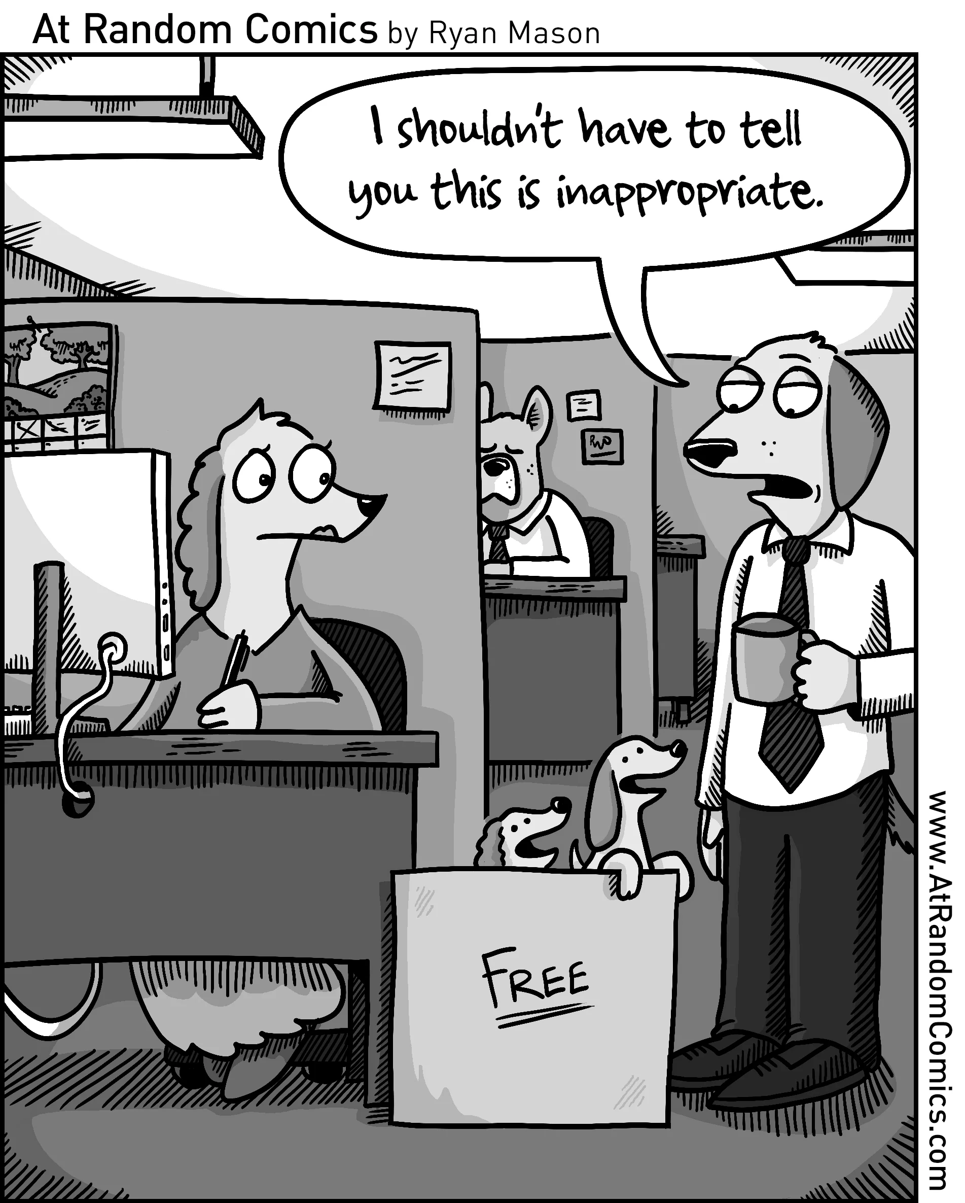 Free Puppies