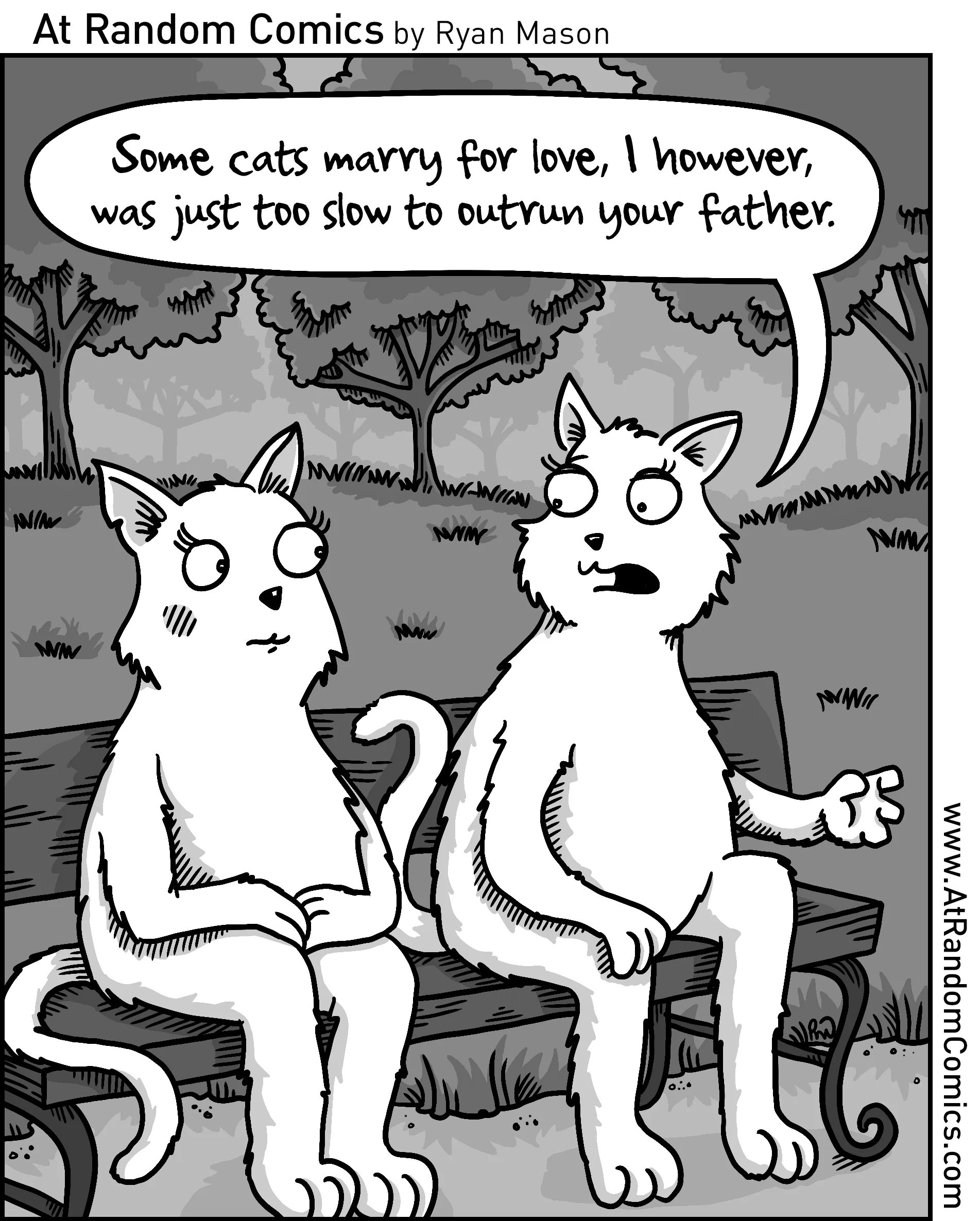 Cat Marraige