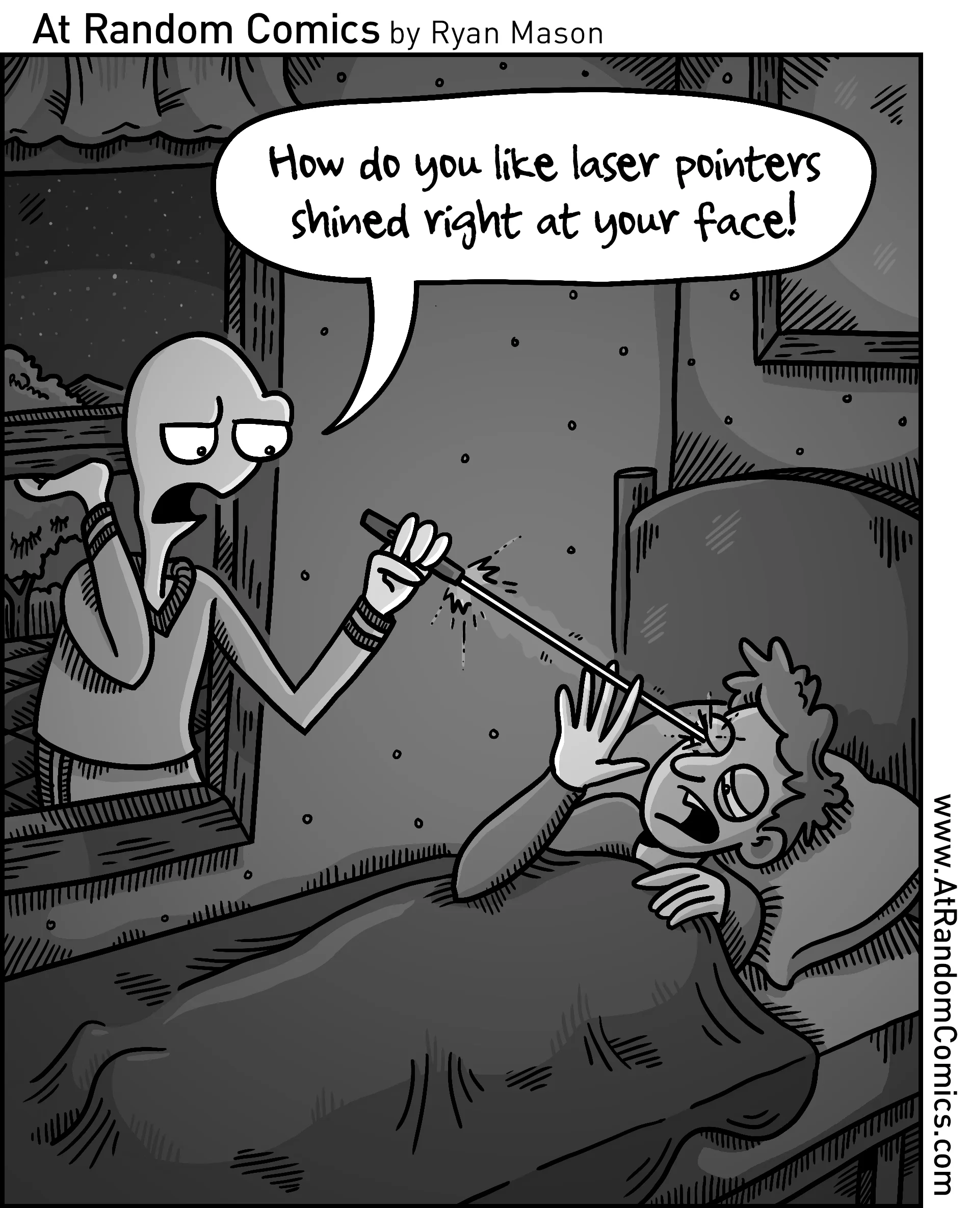 Laser Pointer
