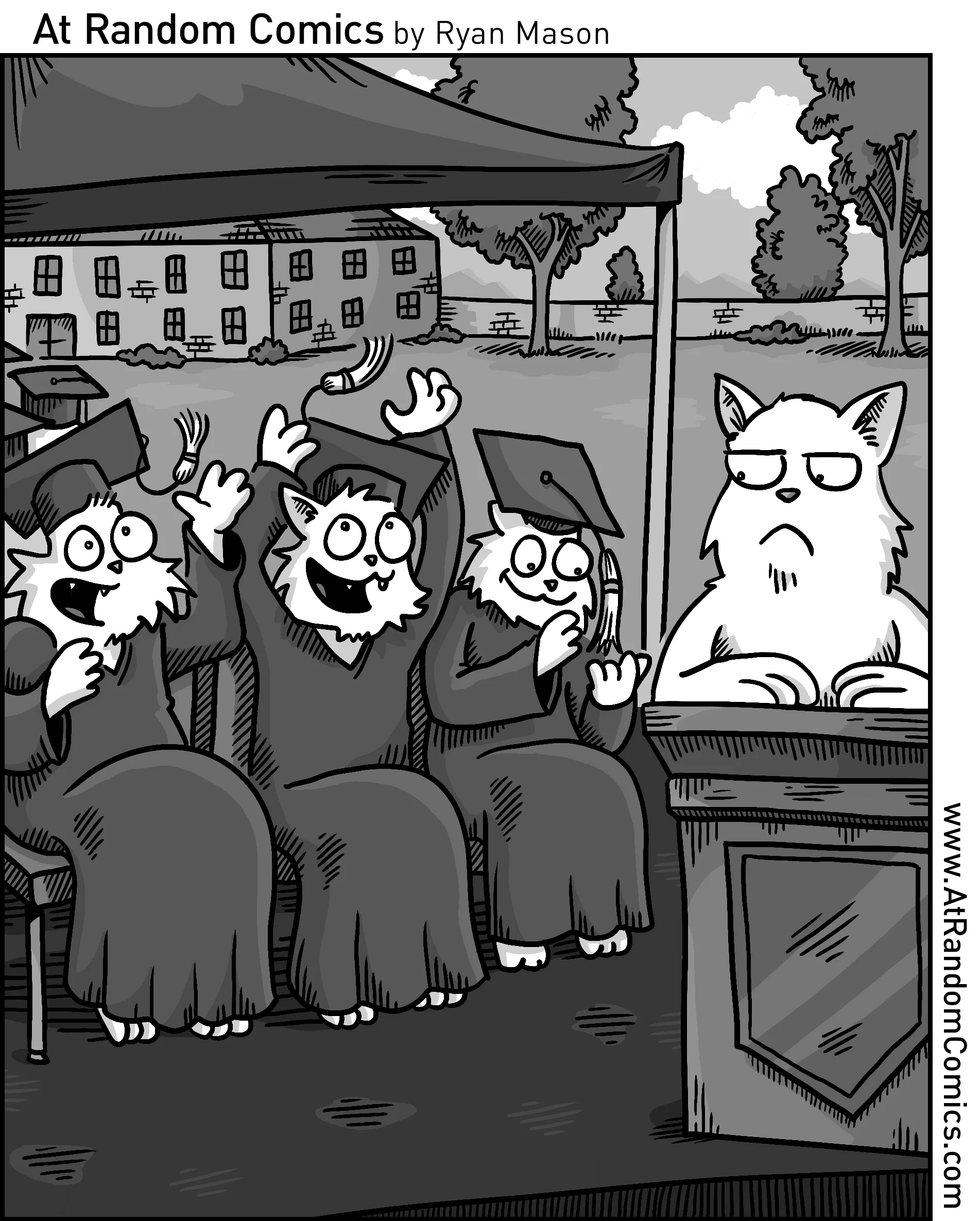 Cat Graduation
