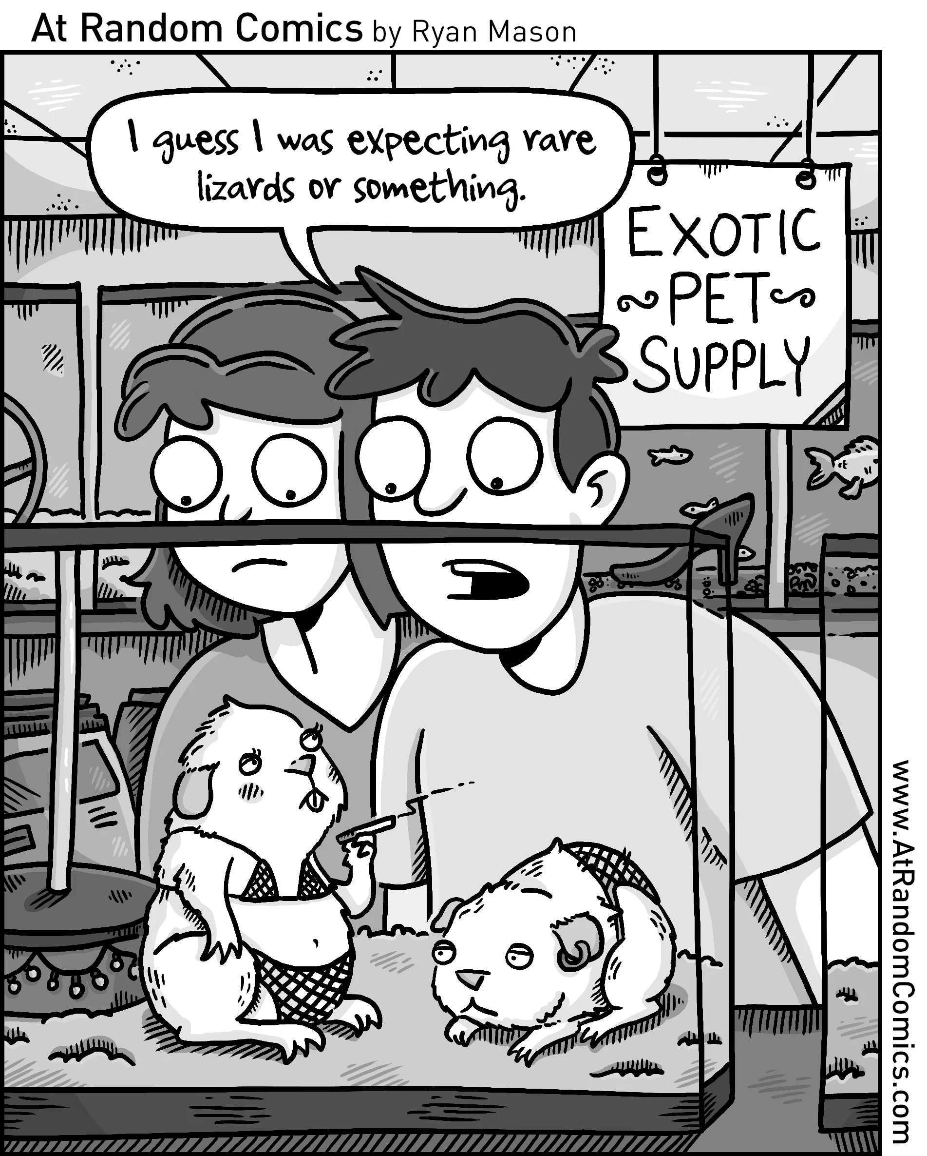 Exotic Pets