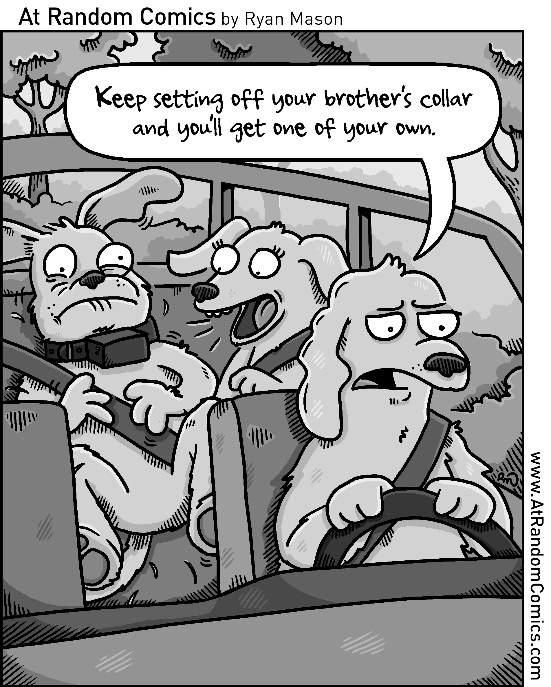 2019_07_Bark_Collar.jpg