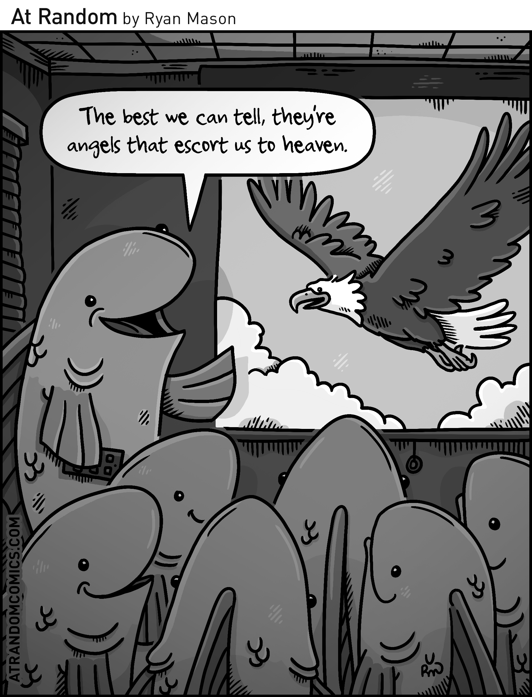 2022_11_Fish Angels.png